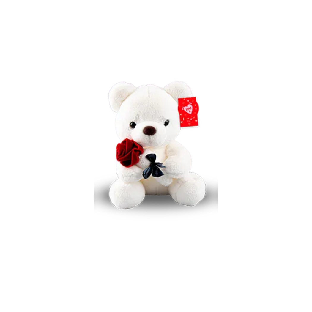 White teddy bear holding a red rose with a black bow on a white background