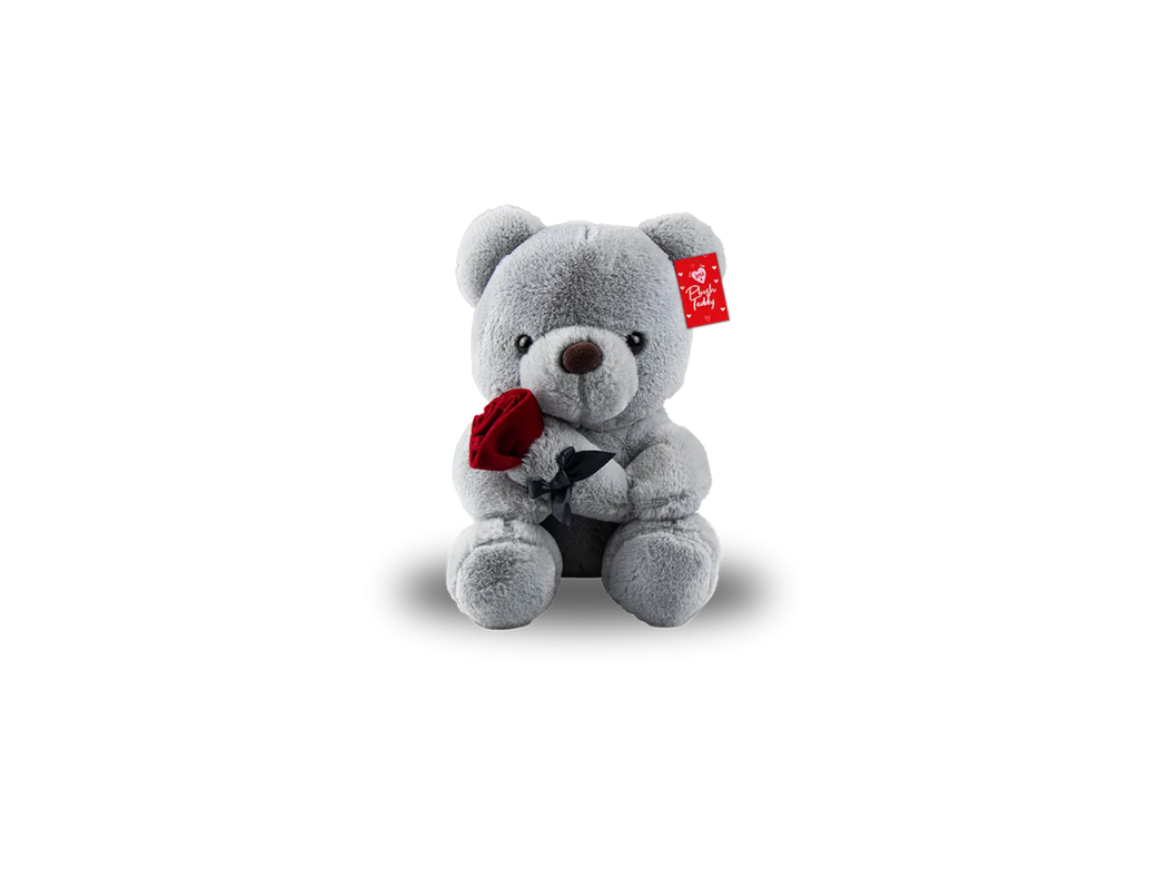Gray teddy bear with a red heart and tag on a white background