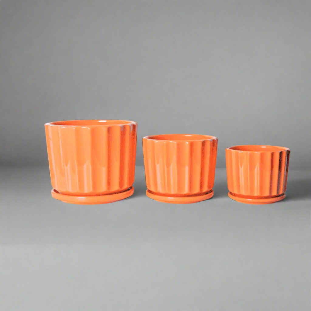 TX10117A 桔红- A orange