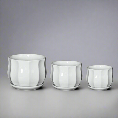 TX10147B白 White