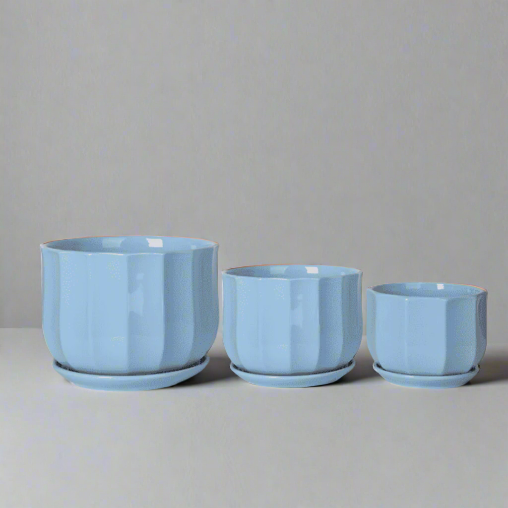 TX10147B - Light Blue / White
